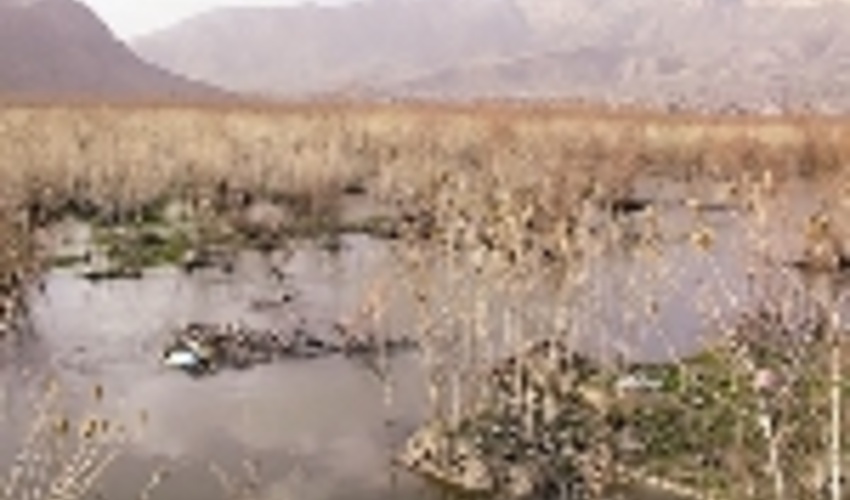 جنوب کرمان/جازموریان یکی از مهمترین اکوسیستم ها
