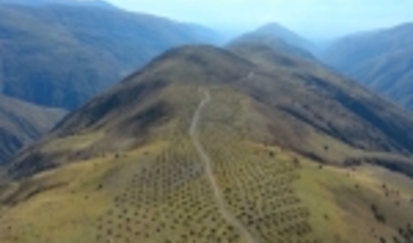 منابع طبیعی زنجان با اعتبار صندوق توسعه ملی، نفسی تازه می‌کند