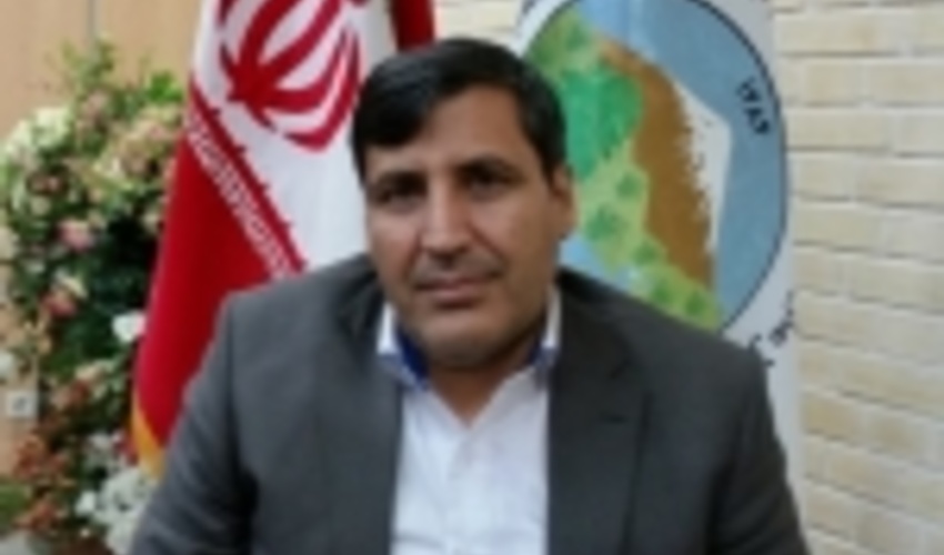 پویش کاشت ۳۳۸ هزار نهال در استان سمنان ادامه دارد