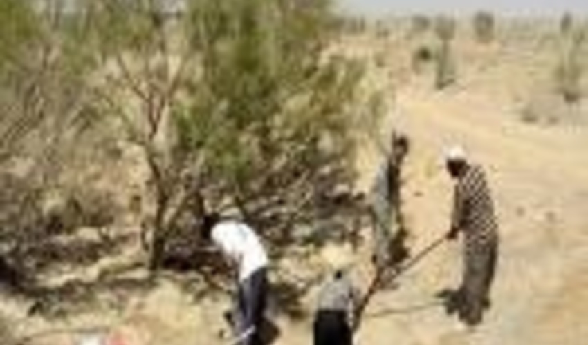 اصفهان/ کاهش عوامل تخریب جنگل ها و مراتع در دو سال اخیر