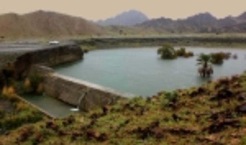 بوشهر/ سدهای آبخیزداری مانع خسارت به کشاورزی کنگان شد