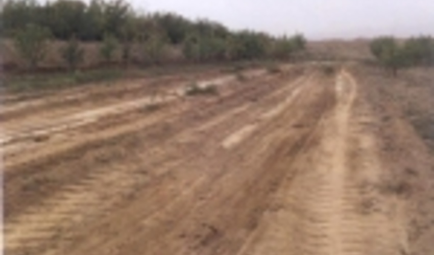 صدور سند تک برگ برای 11 هزار و 700 هکتار از اراضی ملی و دولتی دماوند