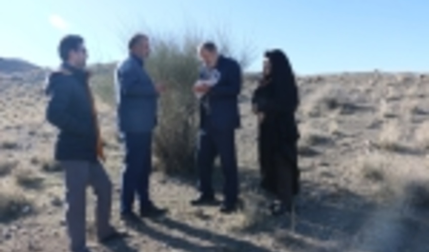  نهال هایی که مستقر شدند تا شهر قم آرام بگیرد 