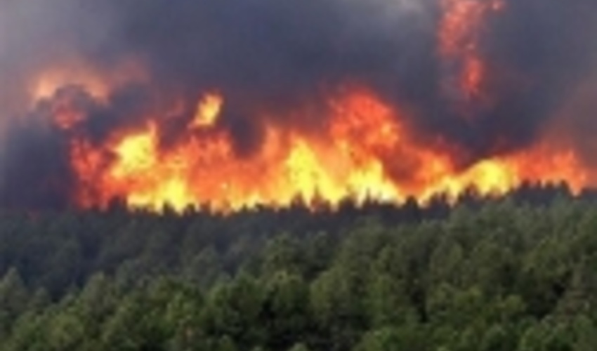افزایش احتمال آتش‌سوزی جنگل ها در گیلان