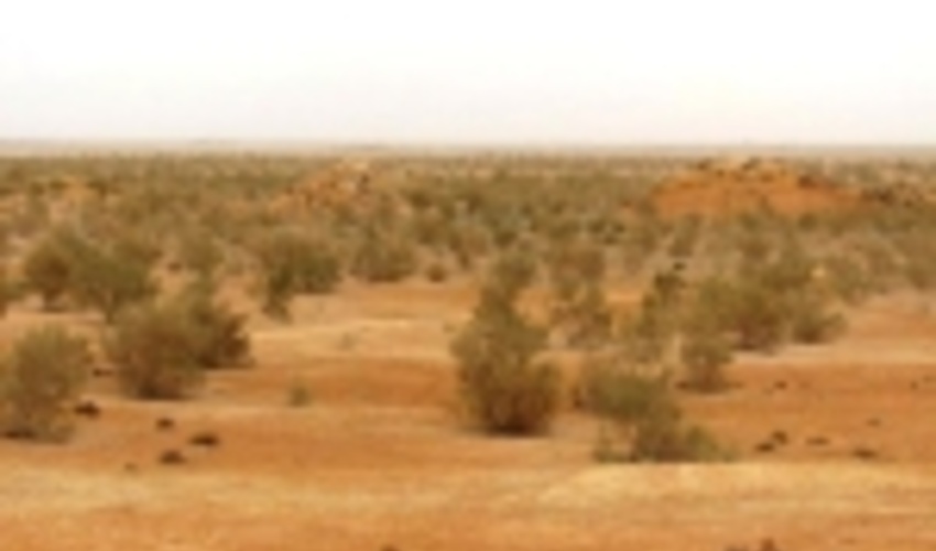 ۷۰ درصد اعتبارات بیابانزدایی شهرستان گرمسار تخصیص یافت