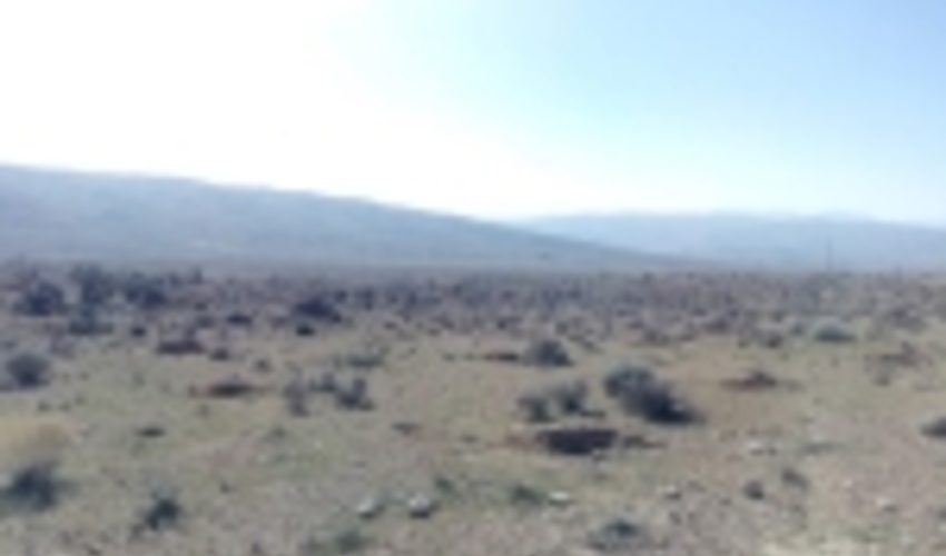 جوانه زنی بذور کاشته شده در پروژه‌های بیولوژیک شهرستان فسا