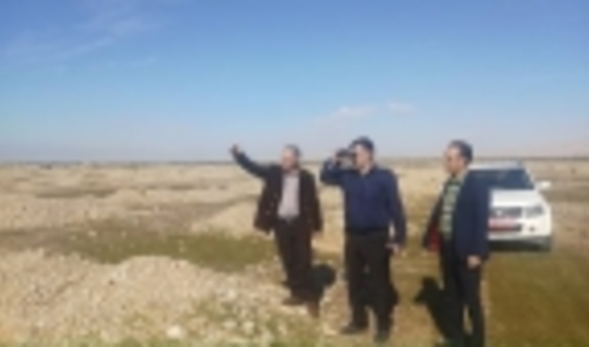 انجام ۱۰ هزار هکتار جنگل کاری در ایلام 