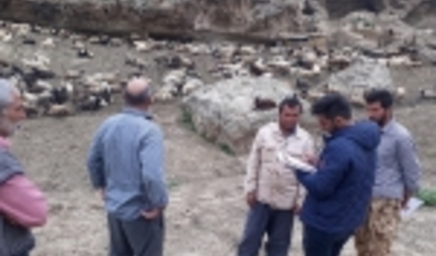 گلستان/پروژه مدیریت چرا و کنترل دام در مراتع قشلاقی استان آغاز گردید