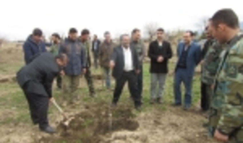 کاشت 16936 اصله نهال جنگلی از محل مجازات های جایگزین حبس در کلاله