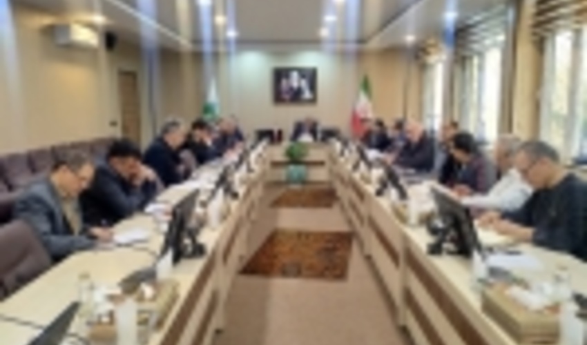 هفته منابع طبیعی، فرصتی برای سرسبزی ایران  