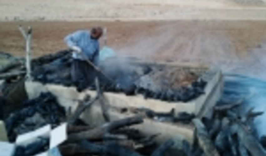 کشف و تخریب یک واحد کوره ذغال غیر مجاز در منطقه ممو بیضا