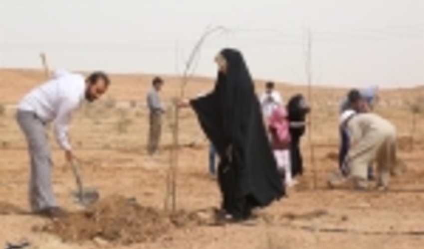 ۴۵۰ هزار اصله نهال در قم کاشته می‌شود‌