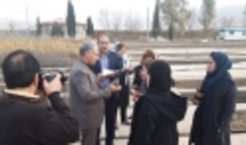 تولید 12 میلیون اصله نهال در استان ایلام طی سال جاری