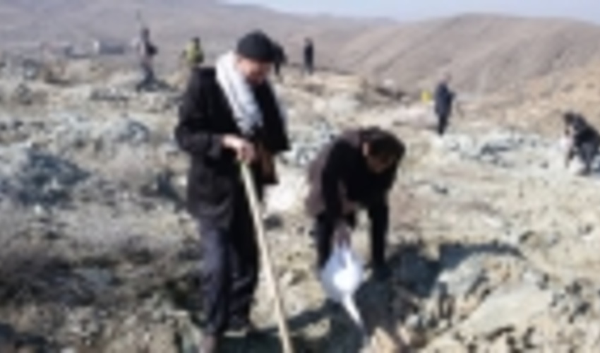 شورای بسیج سازمان جنگل ها به یاد سردار سلیمانی نهال کاشت