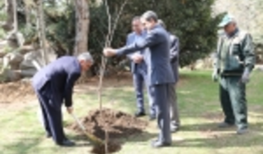 کاشت درخت در کشور تعطیل پذیر نیست