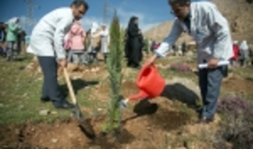 منابع طبیعی جنوب کرمان مردم را برای درختکاری دعوت کرد