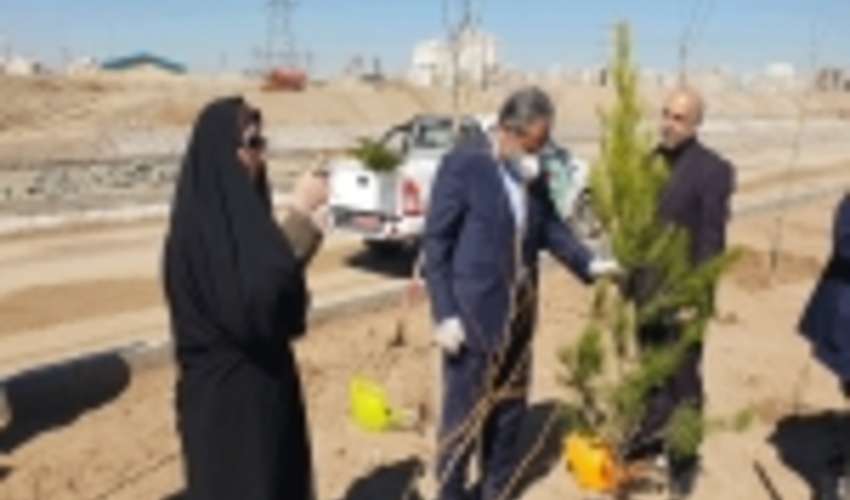 استاندار قزوین:زیبایی و سلامت محیط زیست با درخت کاری ممکن می شود