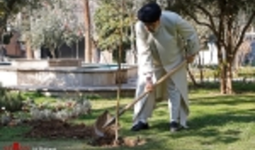 Head of the Judiciary Planted Tree on the Occasion of Natural Resources Week