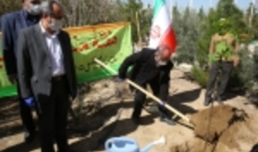 قم/اجرای دو هزار و 157 هکتار نهال‌کاری از مهرماه تا به امروز