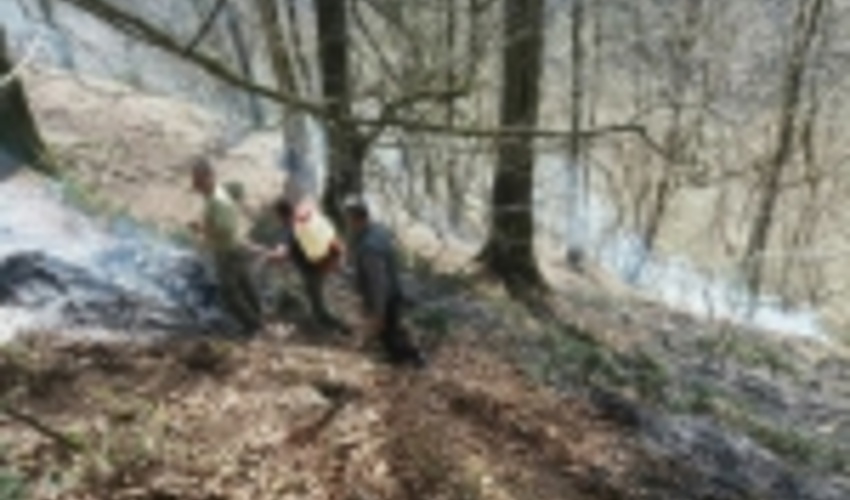 آتش‌سوزی بخشی از جنگل‌های کلاردشت مهار شد