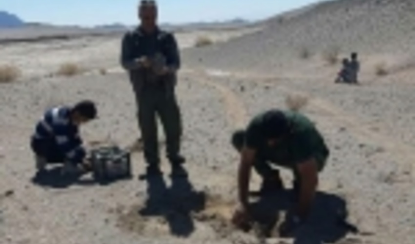 توزیع بيش از 10 هزار اصله نهال در هفته منابع طبيعي در شهرستان بافق