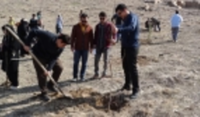 همدان/توسعه بیش از دوبرابری جنگل کاری برای حفظ ریه‌های زمین 