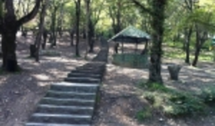 درب تمام پارک‌های جنگلی کشور به‌دلیل کرونا بسته شد