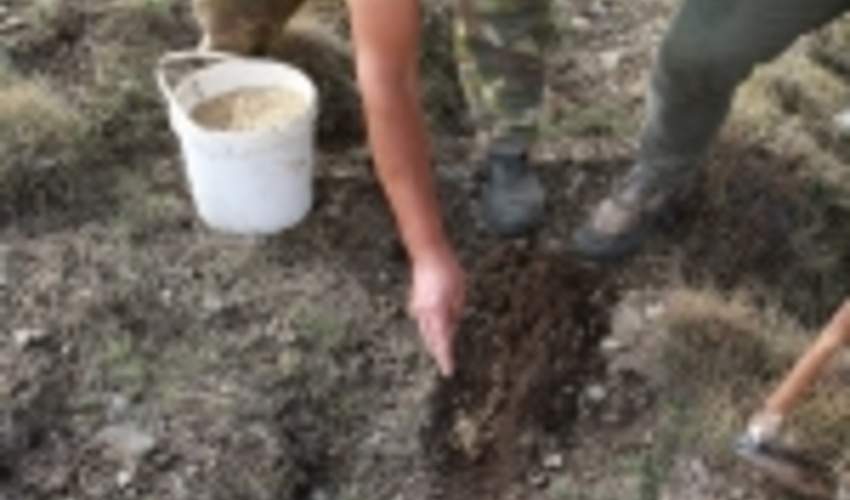  ۱۴۰۰هکتار اراضی استان سمنان کپه کاری شدند