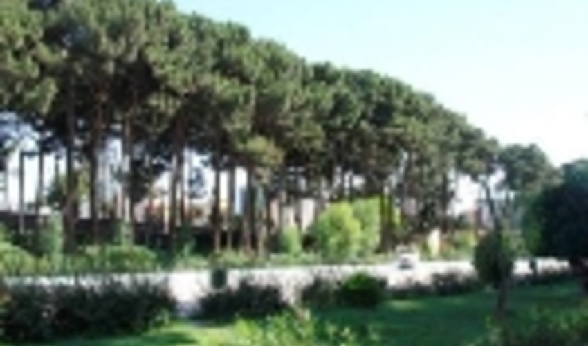 ورود به بوستان ها و عرصه های طبیعی استان تهران ممنوع اعلام شد 