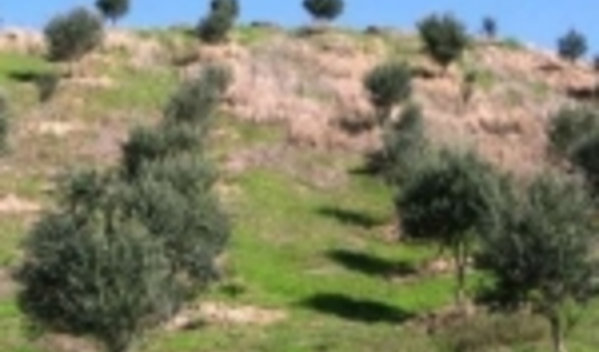  خراسان شمالی/حفاظت منابع طبیعی در تعطیلات نوروز و روز طبیعت را به دقت انجام خواهیم داد