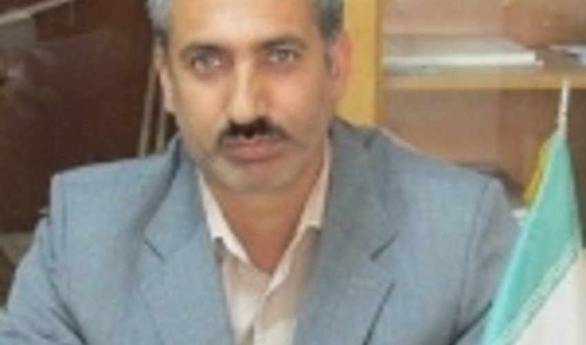 اجرای هزار هکتار جنگلکاری در استان همدان