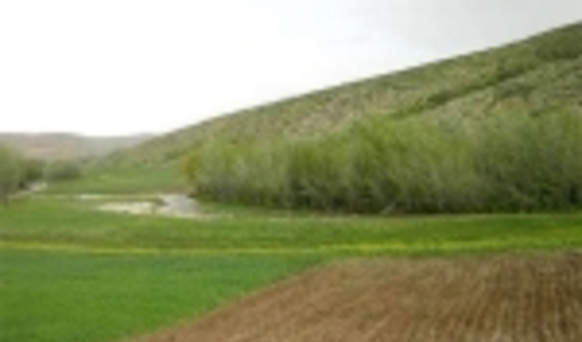 ۳۴۵ هکتار اراضی ملی شهرستان میامی رفع تصرف شد