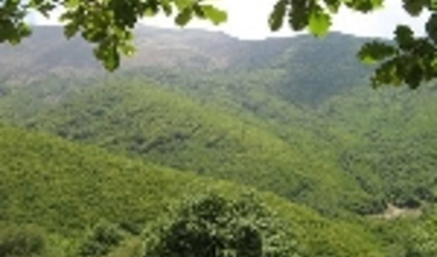 کرمانشاه/اجرای طرح کاداستر اراضی یکی از اولویت‌های سال ۹۹ است