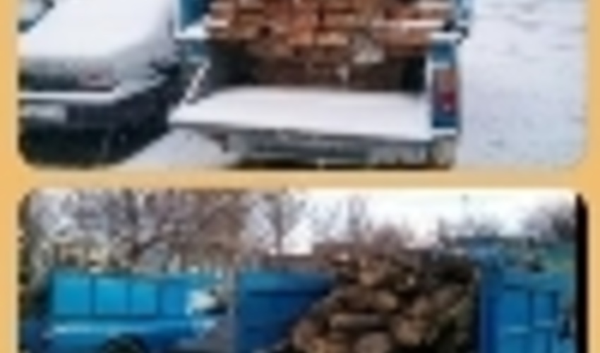 توقیف 4 دستگاه خودرو حامل 50 اصله چوب آلات و 5 تن هیزم قاچاق جنگلی در اردبیل