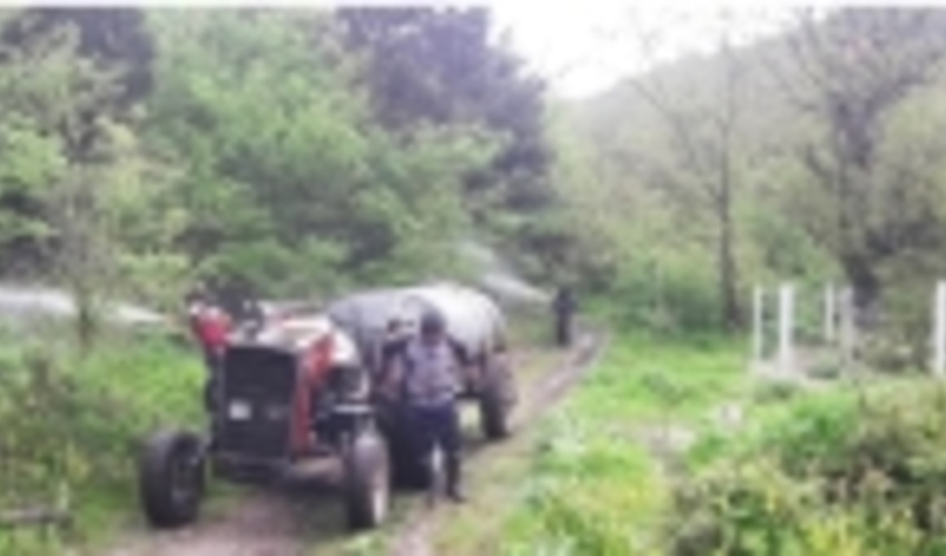 آغاز اجرای عملیات محلول پاشی زمینی آفت شب‌پره شمشاد ذخیره گاه چشمه بلبل شهرستان بندرگز