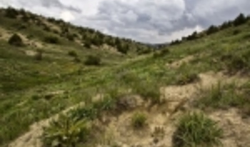 انعقاد قرارداد اخذ سند تک برگی ۸۶۷ هزار و ۲۰۰ هکتار از اراضی ملی استان مرکزی 