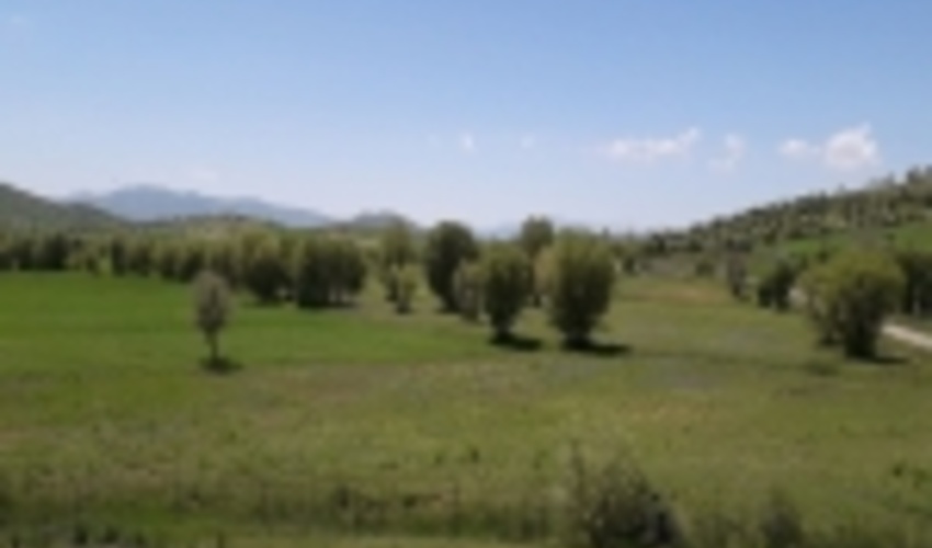 صندوق توسعه منابع طبیعی اصفهان از ۹۳ طرح حمایت کرد