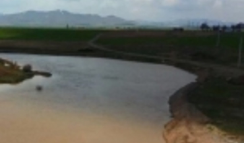 البرز/ آب و خاک اساسی‌ترین پیش نیاز برای جهش تولید بخش کشاورزی است