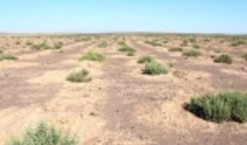 اقدامات بیولوژیکی آبخیزداری در 270هکتار از حوزه های آبخیز ملارد