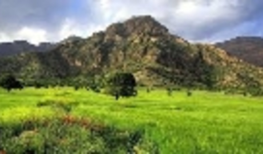 خلع ید 52000 هزار متر مربع از اراضی ملی در شهرستان سلماس 