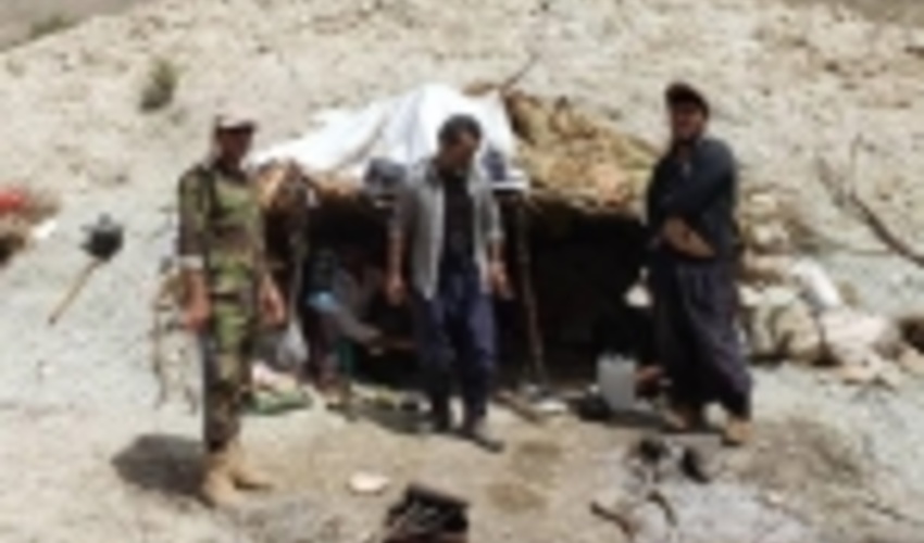 ناکام ماندن بهره برداران غیر مجاز فرآورده گیاه دارویی آنغوزه در لارستان