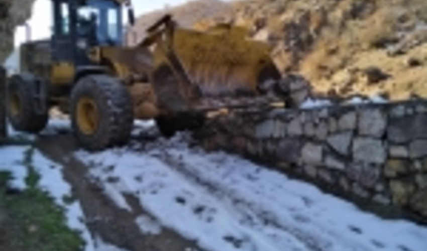 آزاد سازی ٨٨ هزار مترمربع اراضی منابع طبیعی در بخش کجور