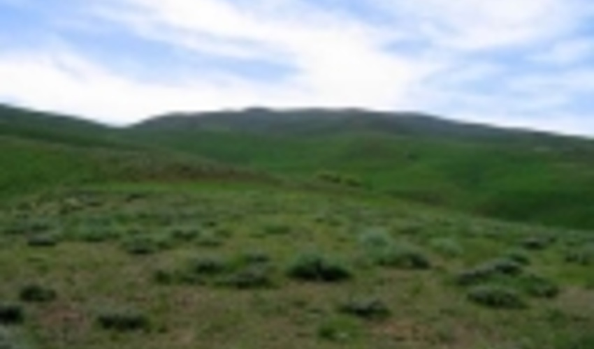 عملیات بیولوژیکی آبخيزداري در 3 هزار و 331 هکتار از حوزه های آبخيز شمیرانات