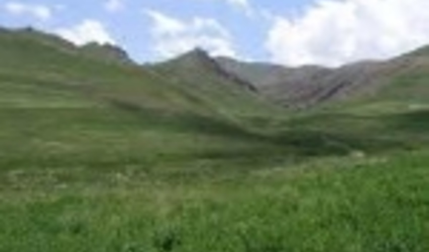 بارندگی تولید علوفه در مراتع غرب مازندران را افزایش داد