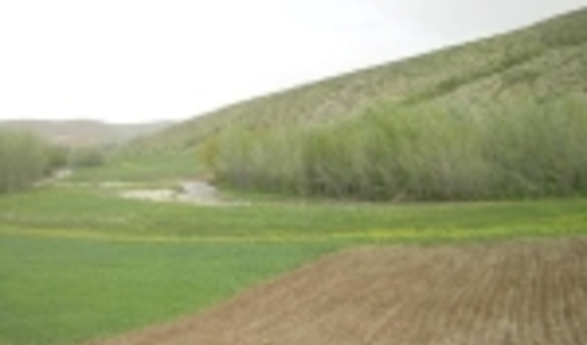 768 هکتار از اراضی ملی در ارومیه سند دار و در مالکیت دولت قرار گرفت