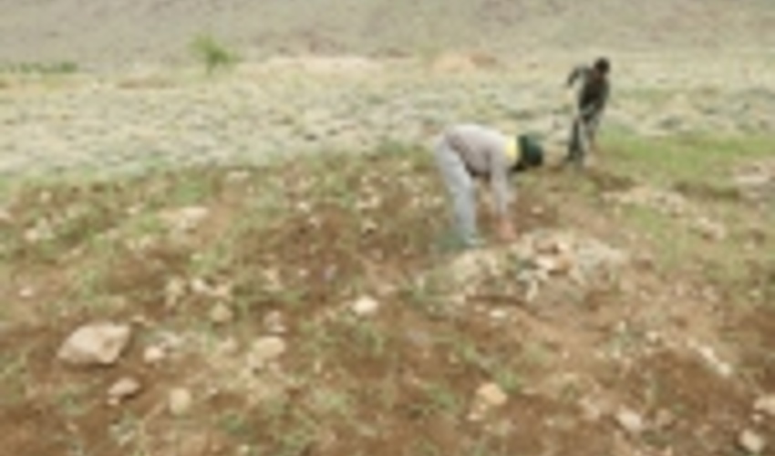 رفع تصرف اراضی ملی در روستای منشاد مهریز