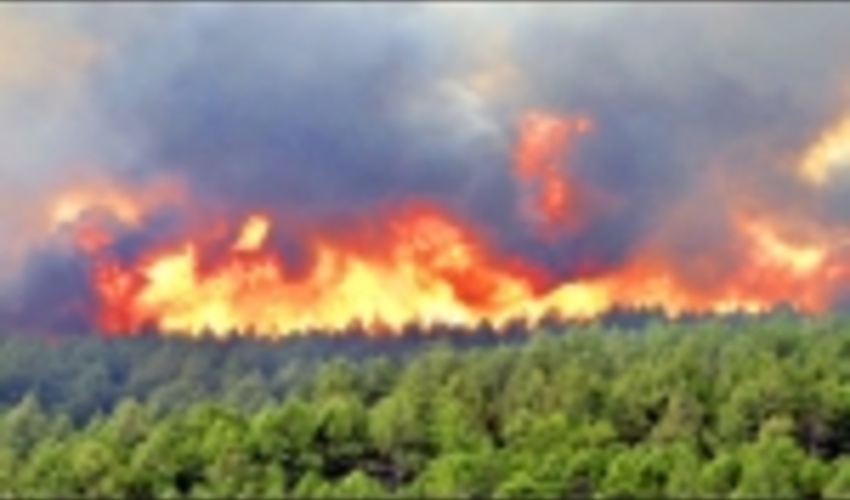                 یک لحظه غفلت از خاموشی آتش، بخش بزرگی از جنگل طعمه حریق می شود