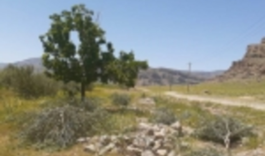 برخورد قاطع یگان حفاظت منابع طبیعی شهرستان بیضا با متصرفین اراضی ملی