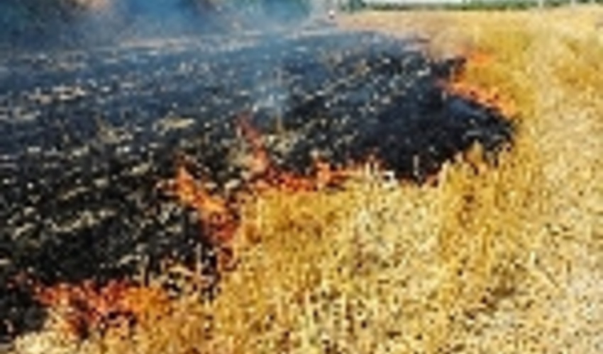 خوزستان/ آتش را به جان پوشش گیاهی مرتعی نیندازیم