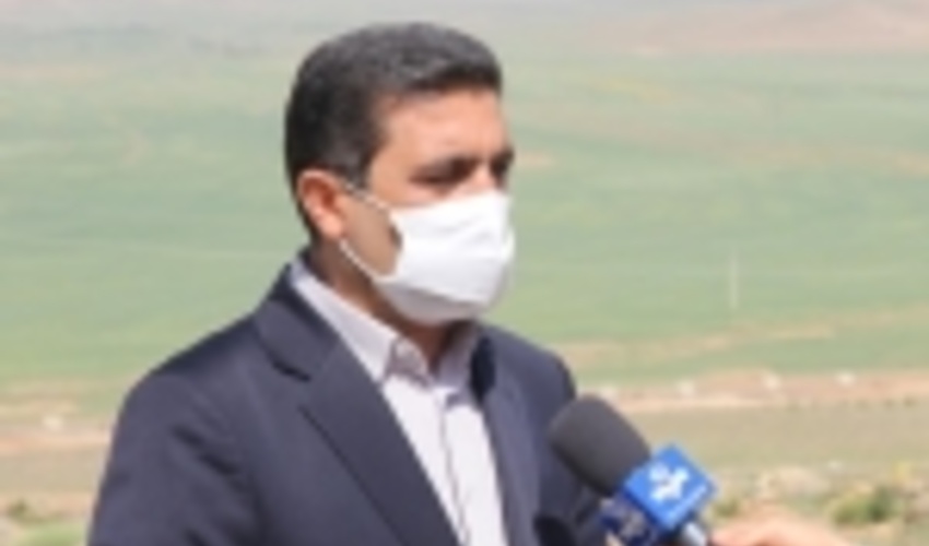 توسعه کشت گل محمدی در راستای اقتصادی کردن مراتع/ کشت گیاهی که کاهش 70 درصدی فرسایش خاک را به دنبال دارد